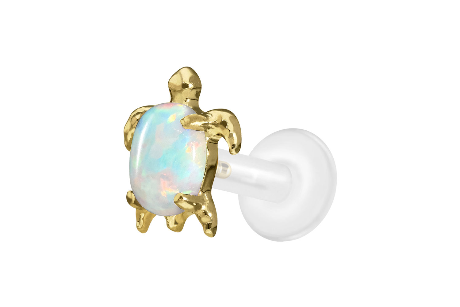 PTFE Labret Piercing mit Innengewinde + Titan-Aufsatz SCHILDKRÖTE